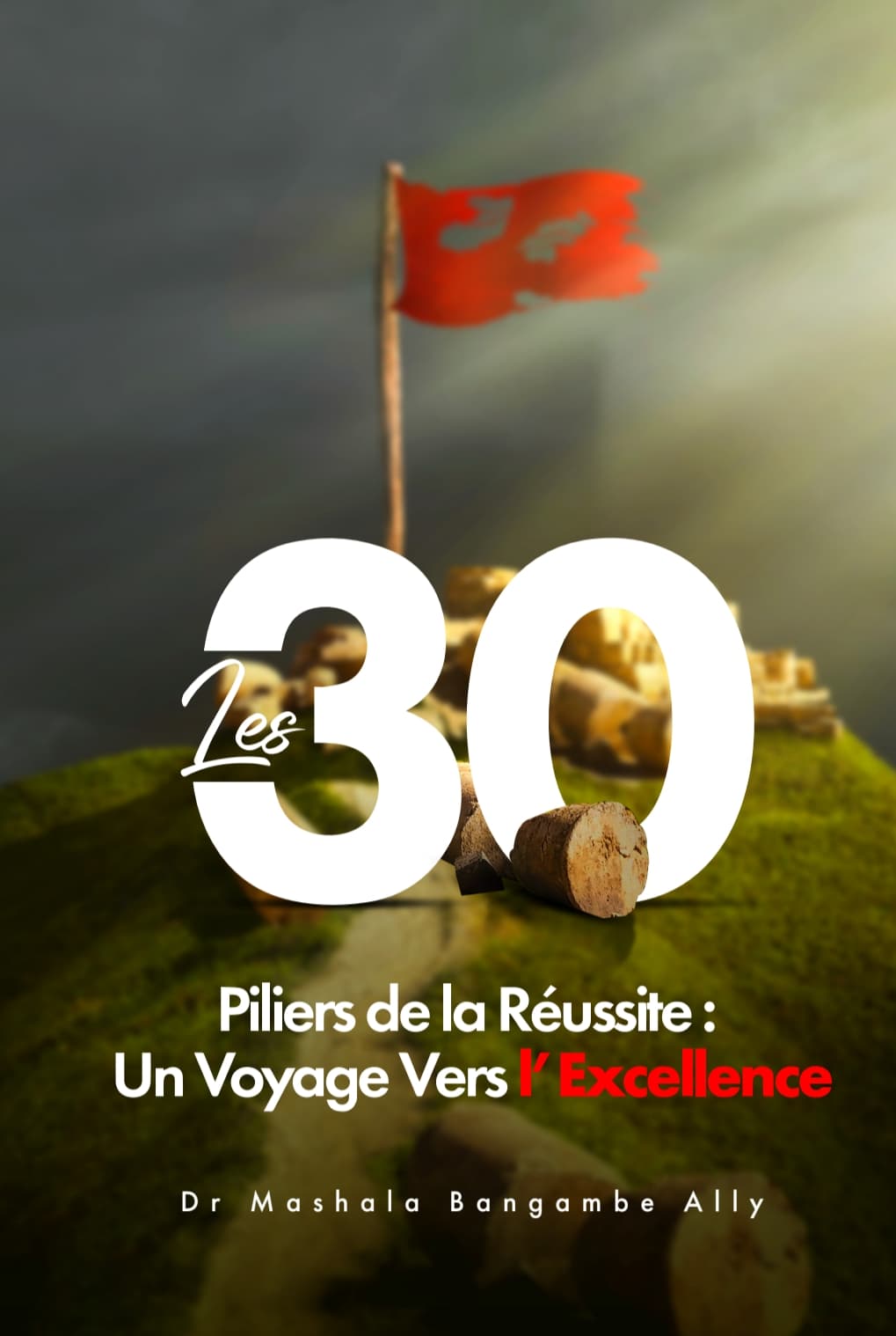 Les 30 Piliers de la Réussite